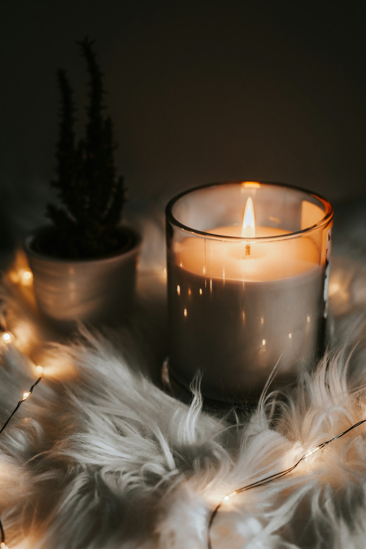 Wax candles